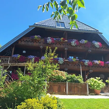 Apartment Haus Panoramablick 2 *