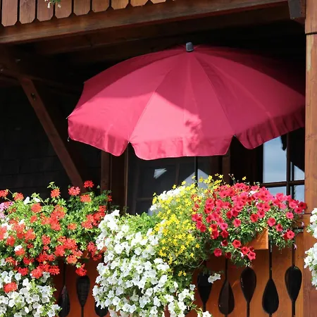 Haus Panoramablick 2 Apartment Bernau im Schwarzwald