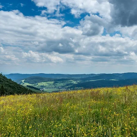 Haus Panoramablick 2 Bernau im Schwarzwald