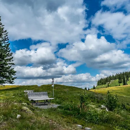 Haus Panoramablick 2 Bernau im Schwarzwald