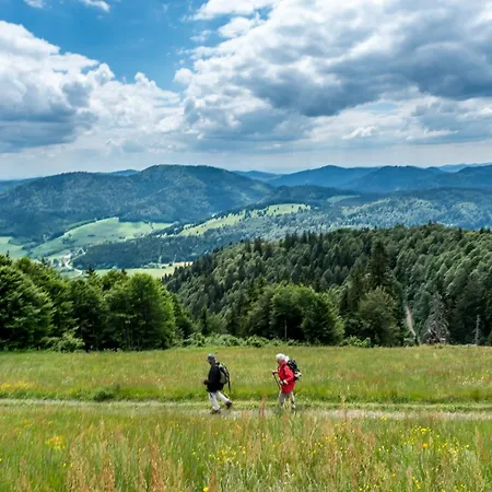 Haus Panoramablick 2 * Bernau im Schwarzwald